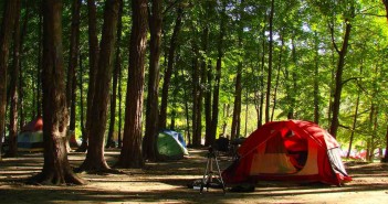 Camping in San Diego