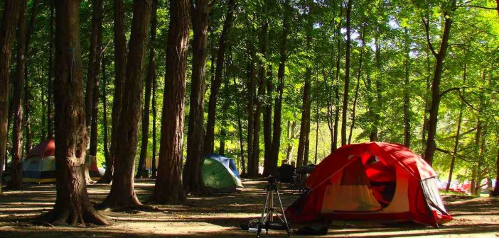 Camping in San Diego